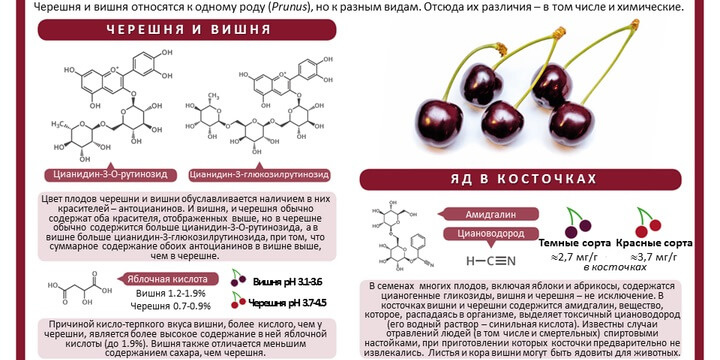 Для чего нужно знать органическую химию. Смотреть фото Для чего нужно знать органическую химию. Смотреть картинку Для чего нужно знать органическую химию. Картинка про Для чего нужно знать органическую химию. Фото Для чего нужно знать органическую химию
