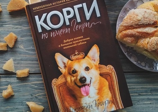 Корги по имени Генри Корги по имени Генри
