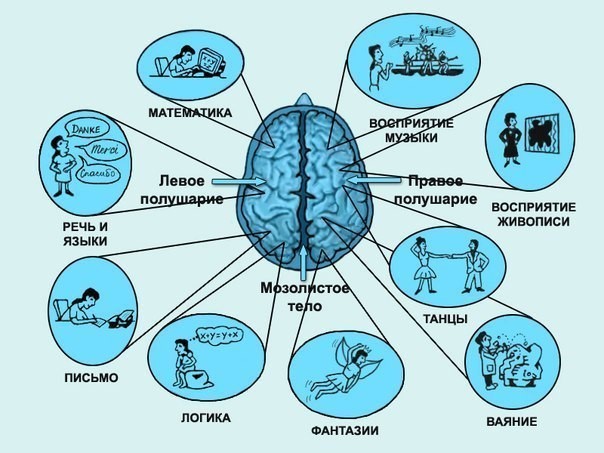 Прочность запоминания не зависит от объема кратковременной памяти