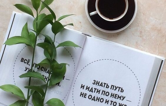 Книга Книга