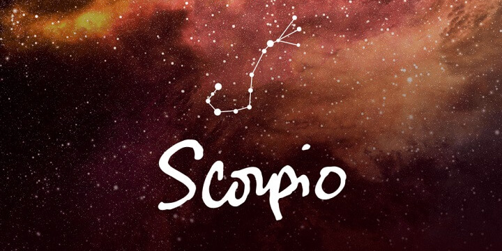 Скорпион Скорпион