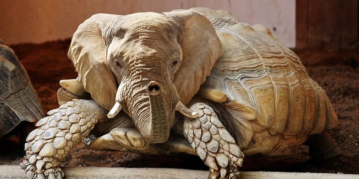 Чем фейк отличается от кликбейта