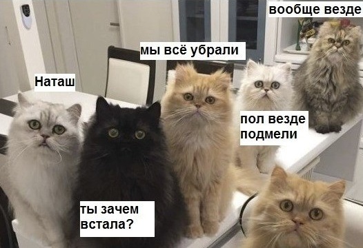 реплики котов