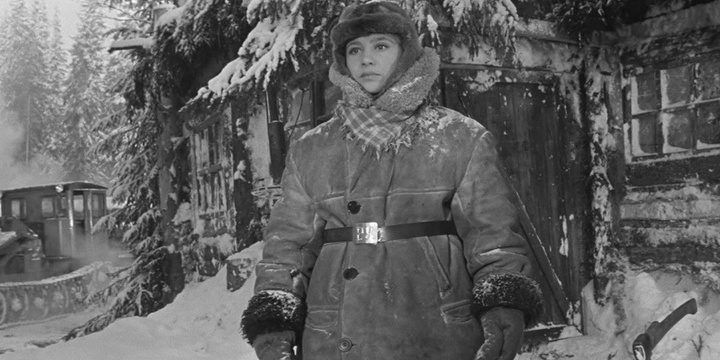 девчата девчата