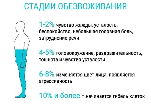 стадии стадии