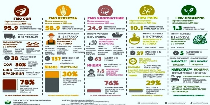 гмо