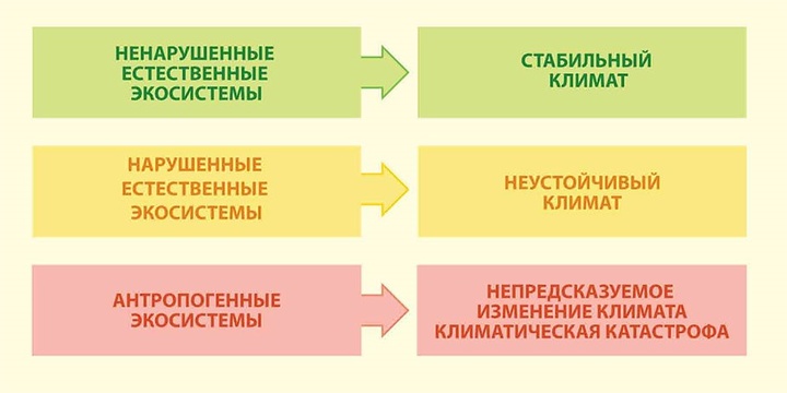 экосистема