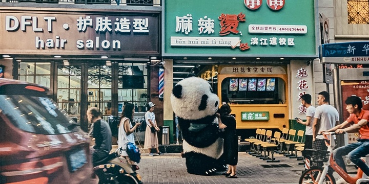 панда панда